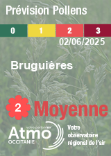 ATMO Occitanie - Prévision Pollens